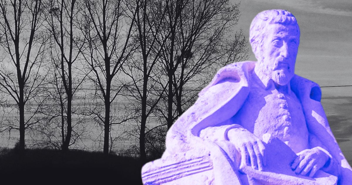 Statue de Du Bellay