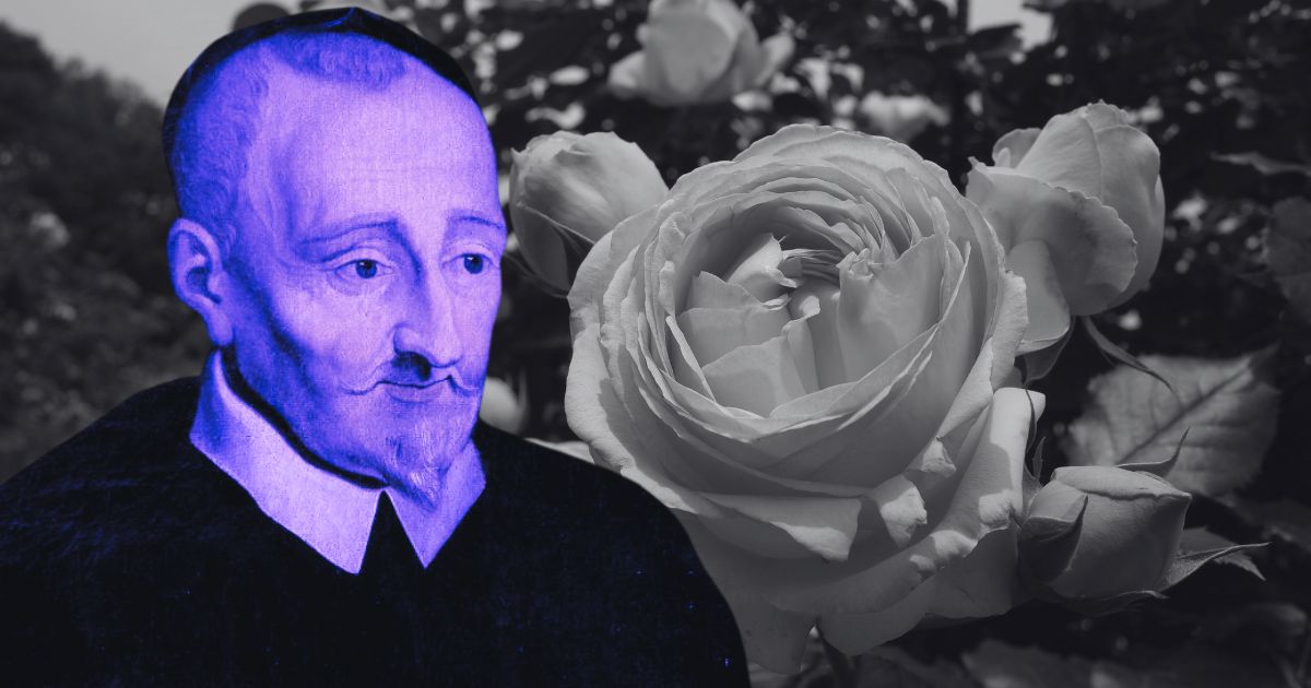 Portrait de Ronsard