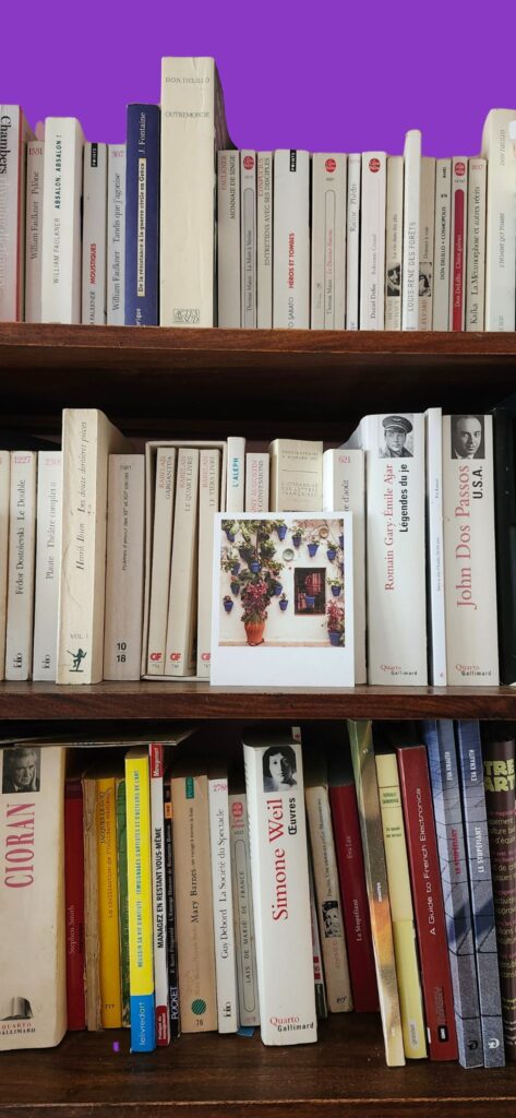Trois rangées de livres d'une bibliothèque personnelle