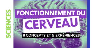 Couverture de l'article "Fonctionnement du cerveau"